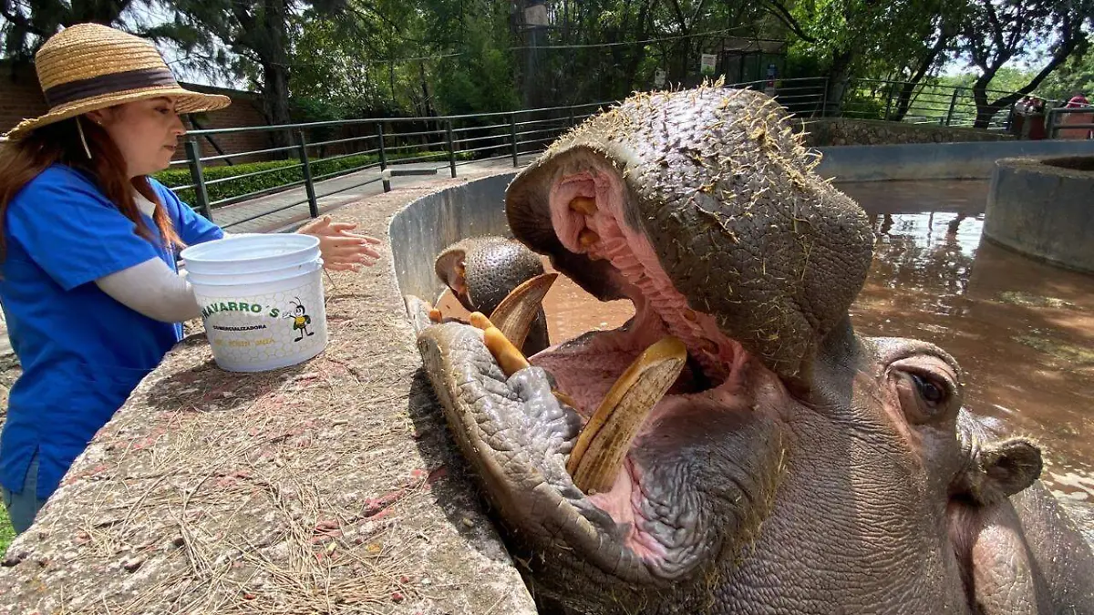 1289315b-7a46-4b7f-b8b7-a70951be506b