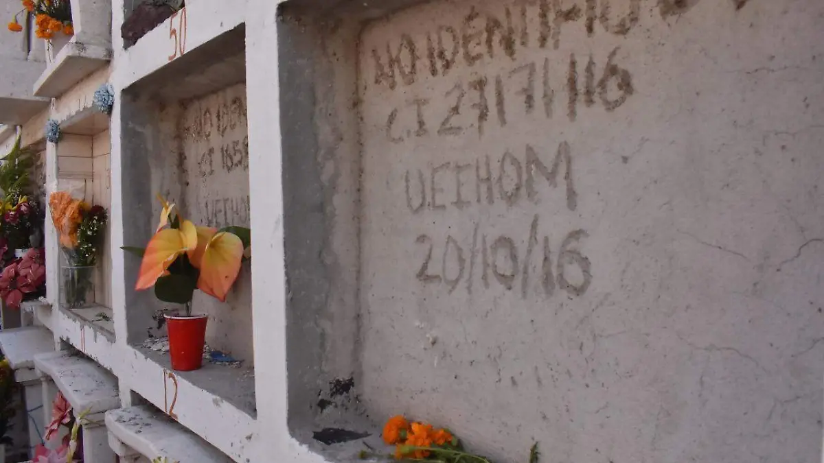 ceee89e5-bbb2-491d-b20a-461f5ae0432f