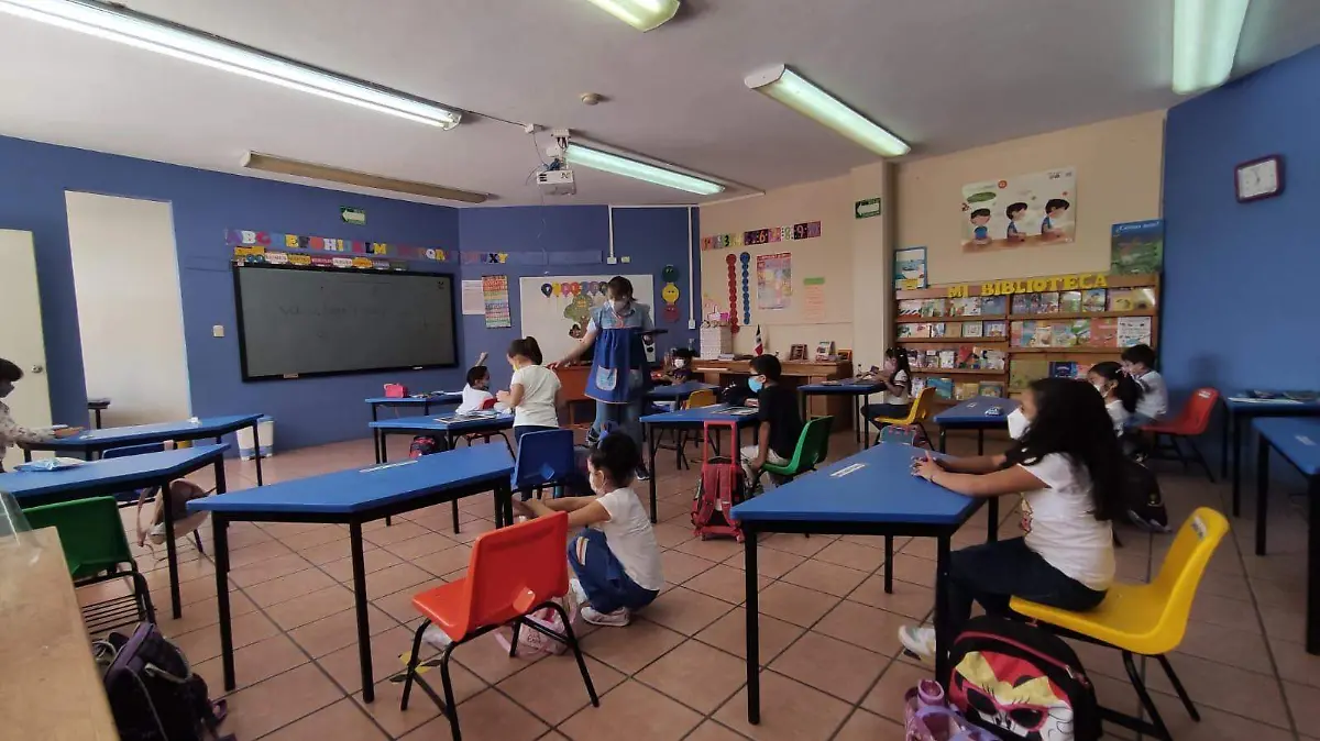 Image 2023-09-01 at 7.55.11 PM (1)