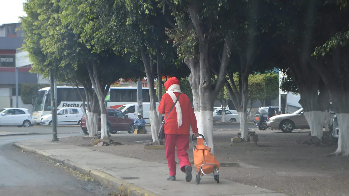 IRAPUATO. FRENTE FRIO NUMERO 29