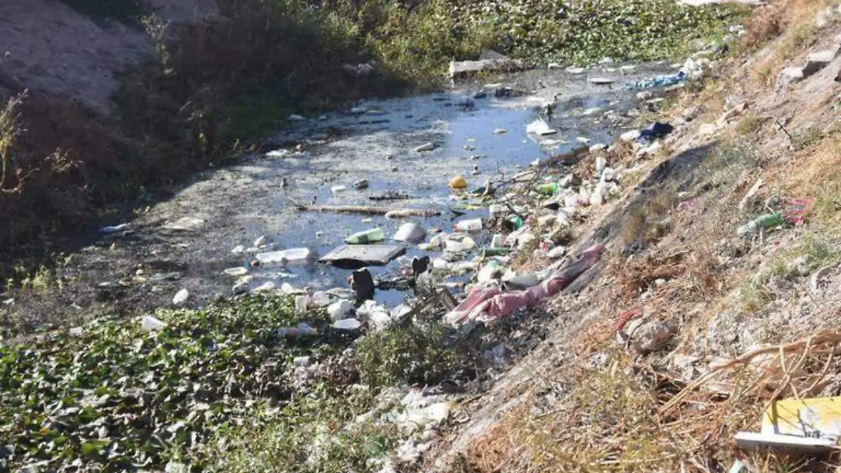 WhatsApp Image 2021-09-11 at 16.01.22 (1)