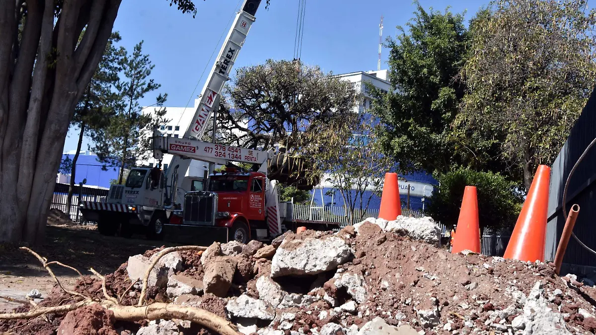 Comenzará-la-preparación