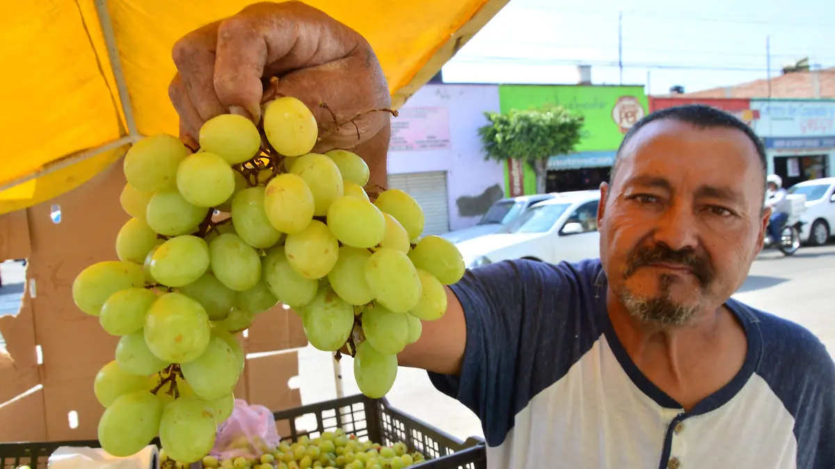 Por-los-cielos-el-precio-de-la-Uva (2)