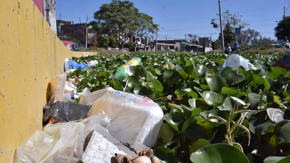 CONTAMINACIÓN GTO (9)