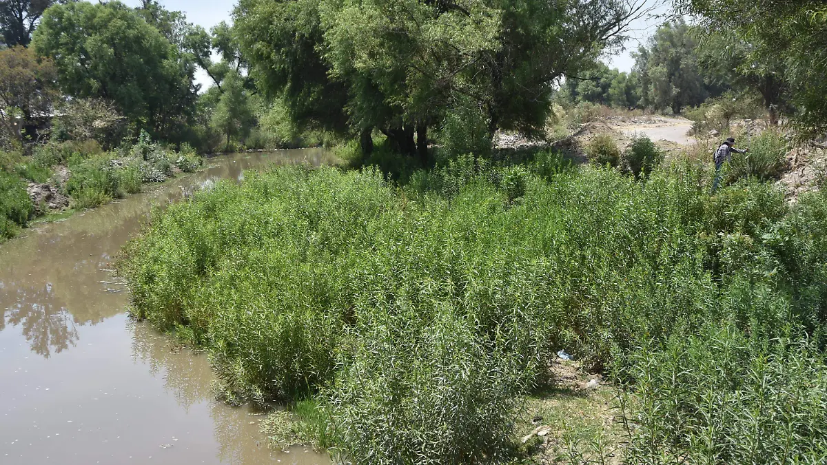 ARROYO EN VALENCIANITA