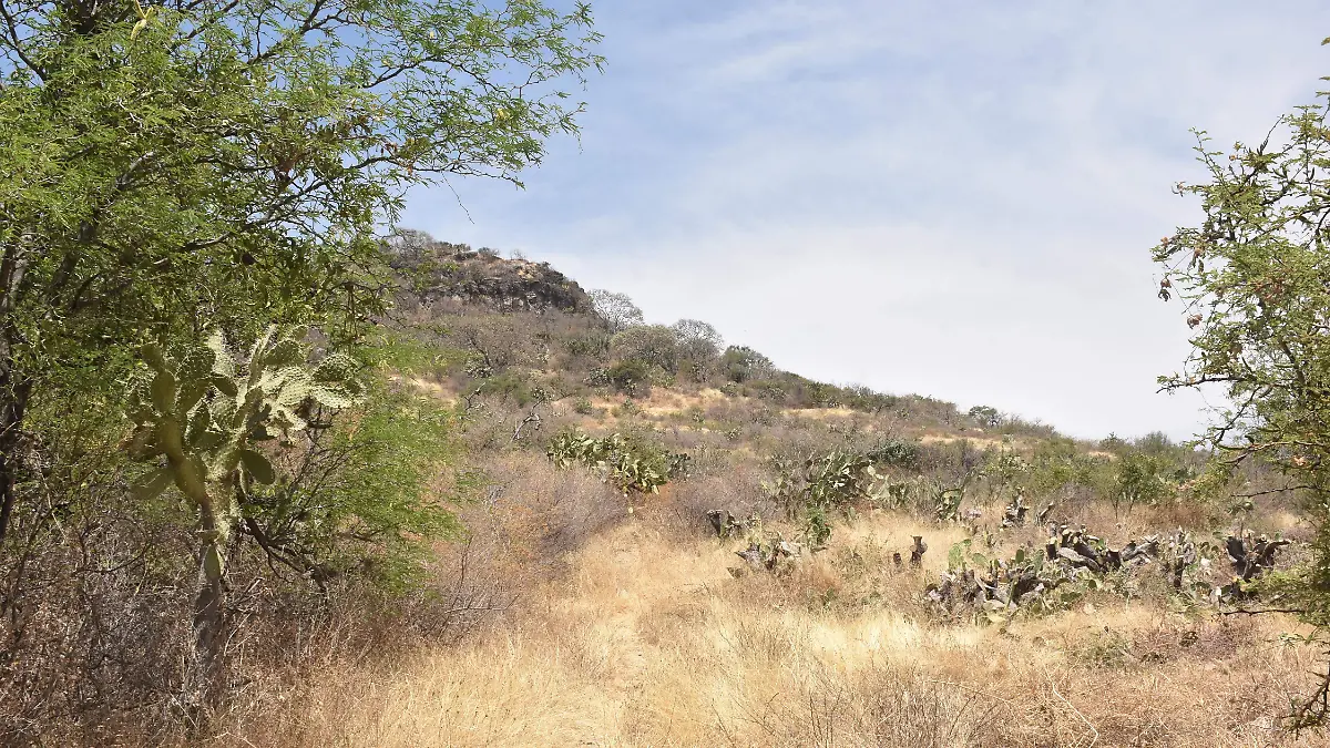 Ecocidio-en-cerros (1)