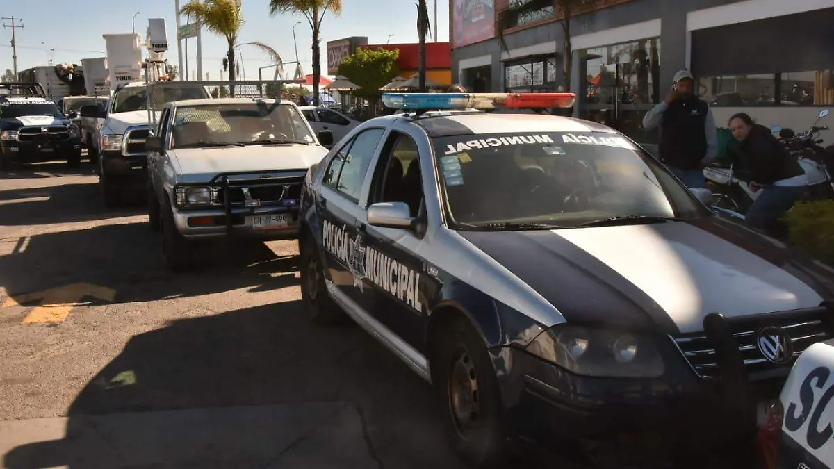 WhatsApp Image 2019-01-09 at 10.45.06 AM