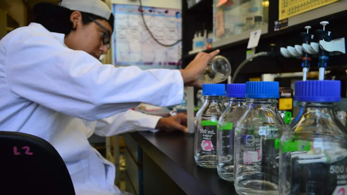 830b97b3-45ad-4ee3-95e6-5a02404eadcb