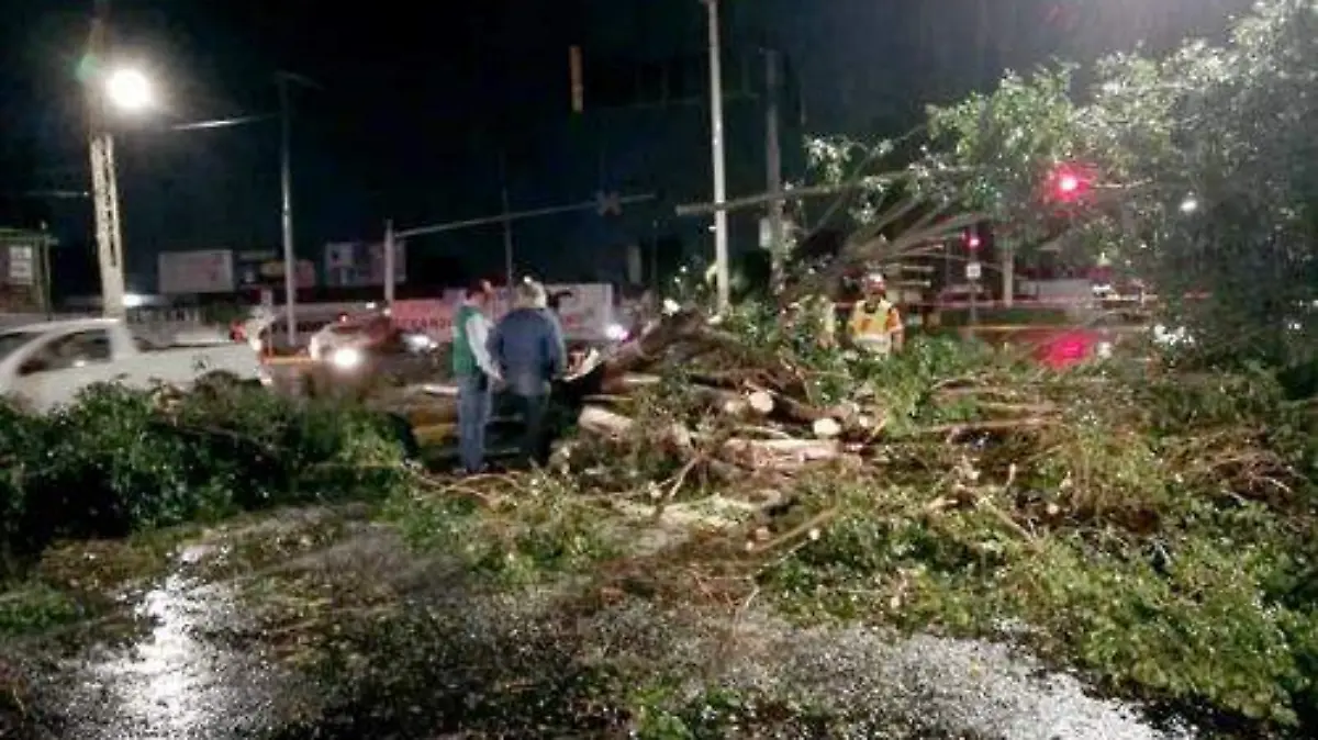 47fa6032-2287-4f13-a952-395cbf0e188f