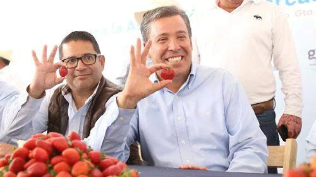 MERCADO DELA FRESA OK