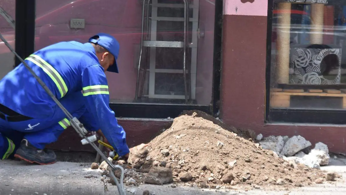 467e4528-c508-4501-940f-cfe5ca6d281b