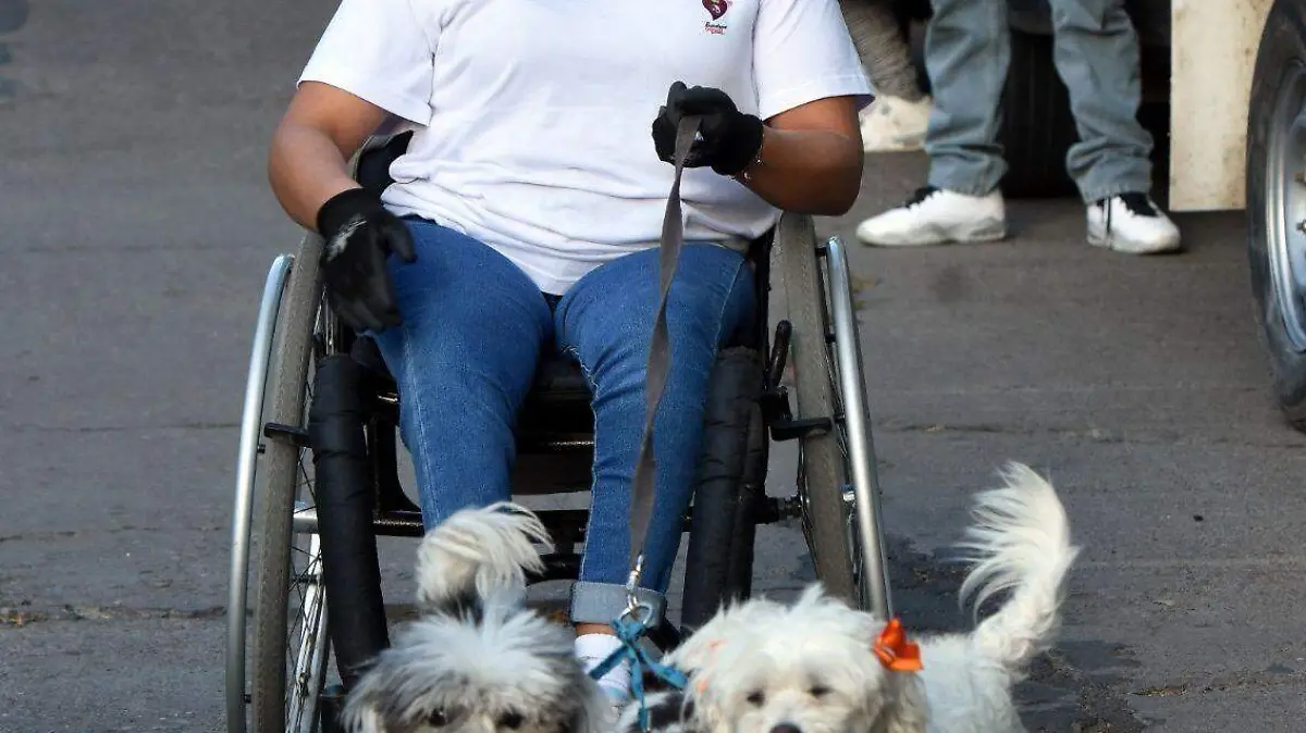 Fueron-aproximadamente 