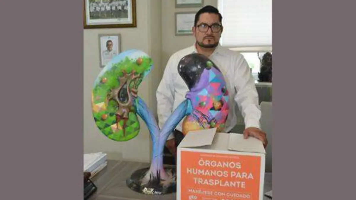 DONADOR DE ÓRGANOS (1)