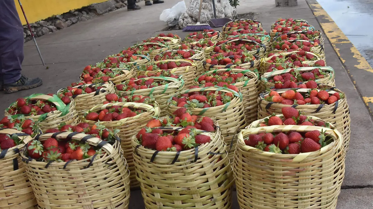 mercado dela frersa (1)