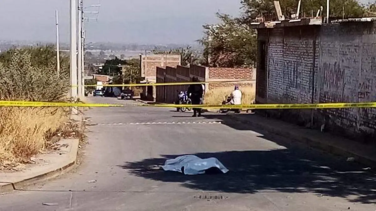 c5bb96f2-1e98-47e4-9dd3-d270835dfc4d