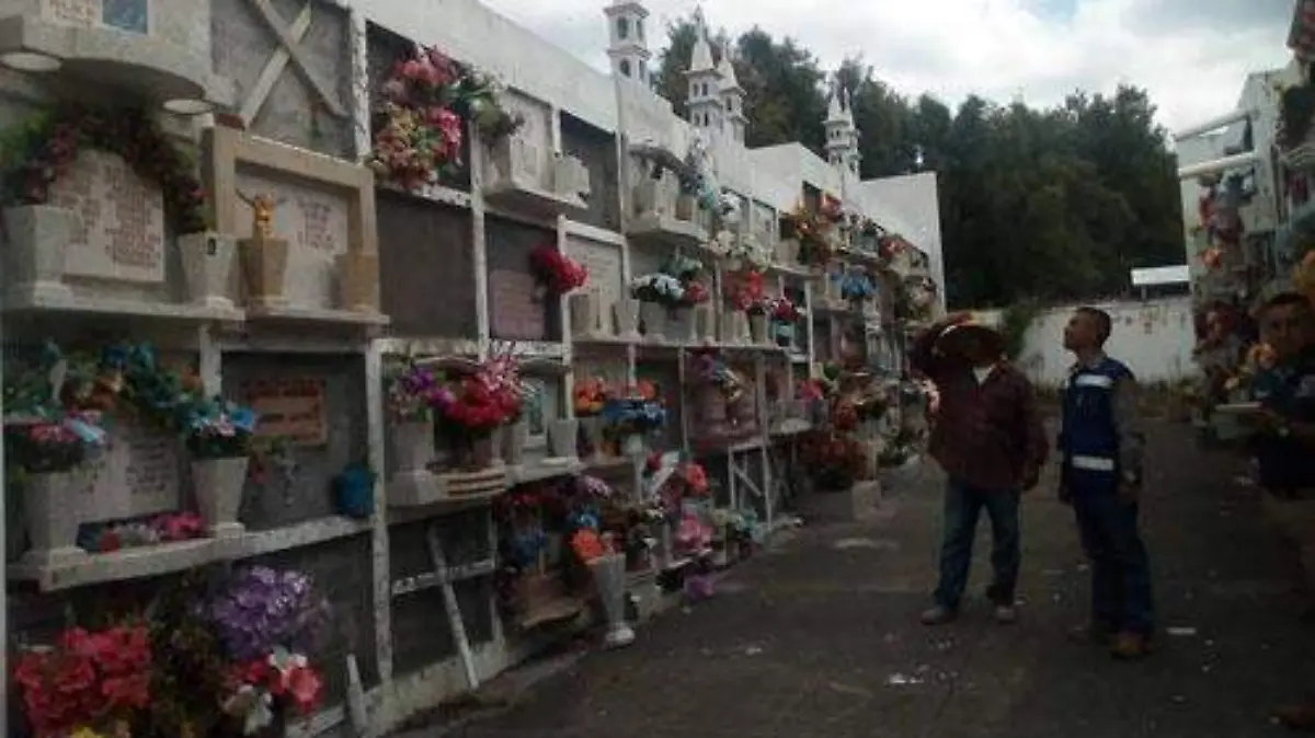 DENTRO DE ESTOS OPERATIVOS OK