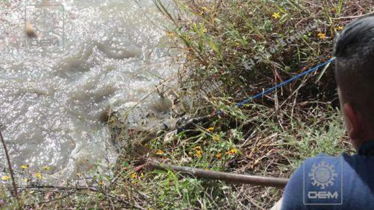 EL NO CONTAR OKOKPOK