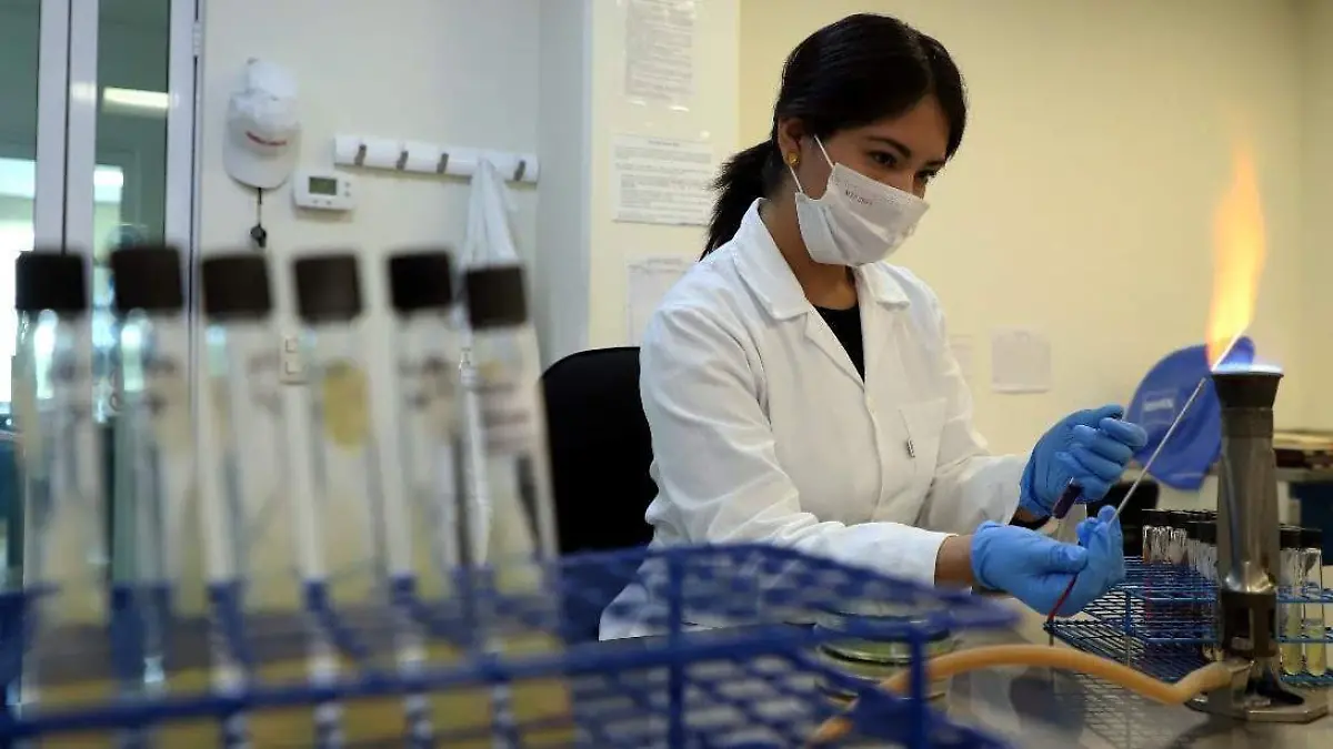 f8a31110-8387-49e4-a355-cbbd0271a9fa