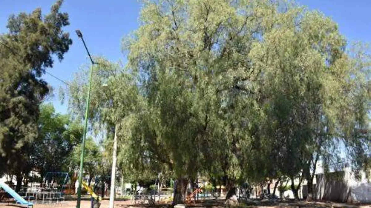 4725cbeb-c420-4a4e-9e59-43755d3ca973