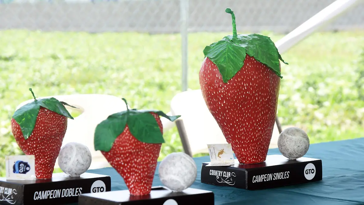 Los-Trofeos-de-los-finalistas