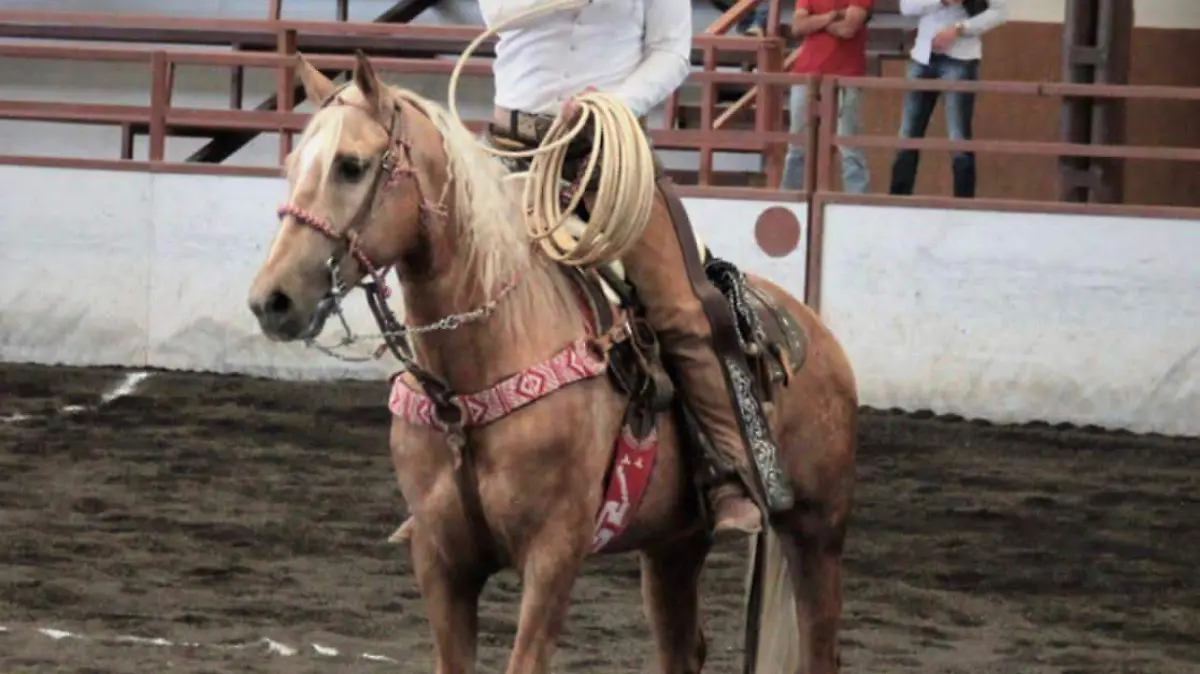 Timmy-Padilla-Charro-Completo (3)