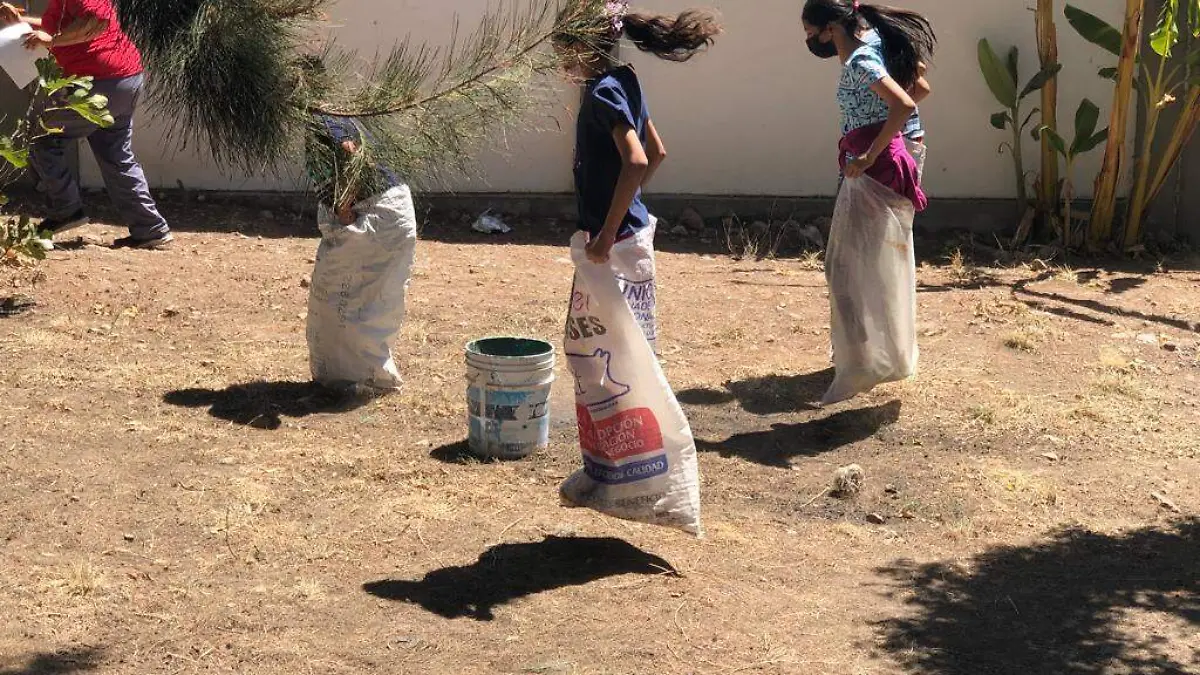 2e49fb37-40f5-4a38-901b-6bb73d73c2bf