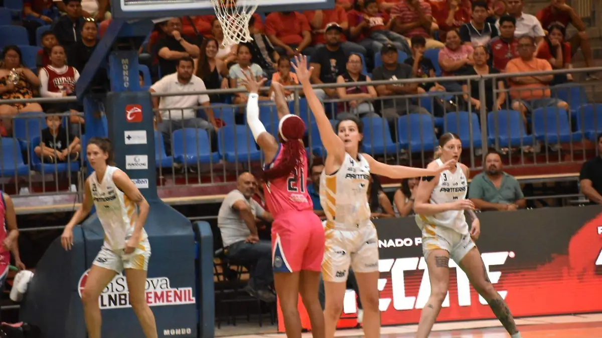 d7a8d0ea-5cb1-4597-8e3a-ee63852c84d3