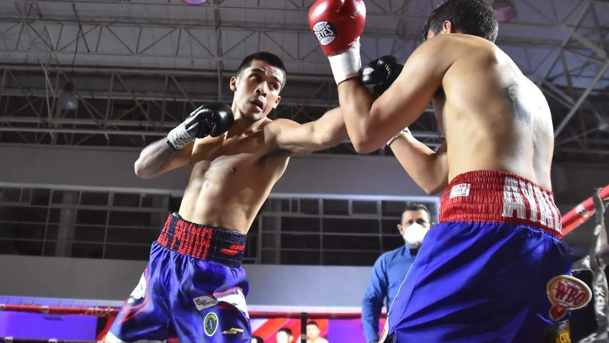 e60ed0f5-d8ba-4dc5-98b4-5932ea09be3f