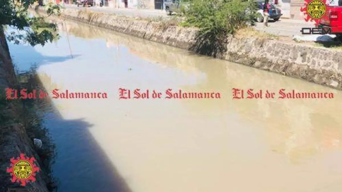 9cddd942-8578-4529-9fe7-3b3f7d401e39