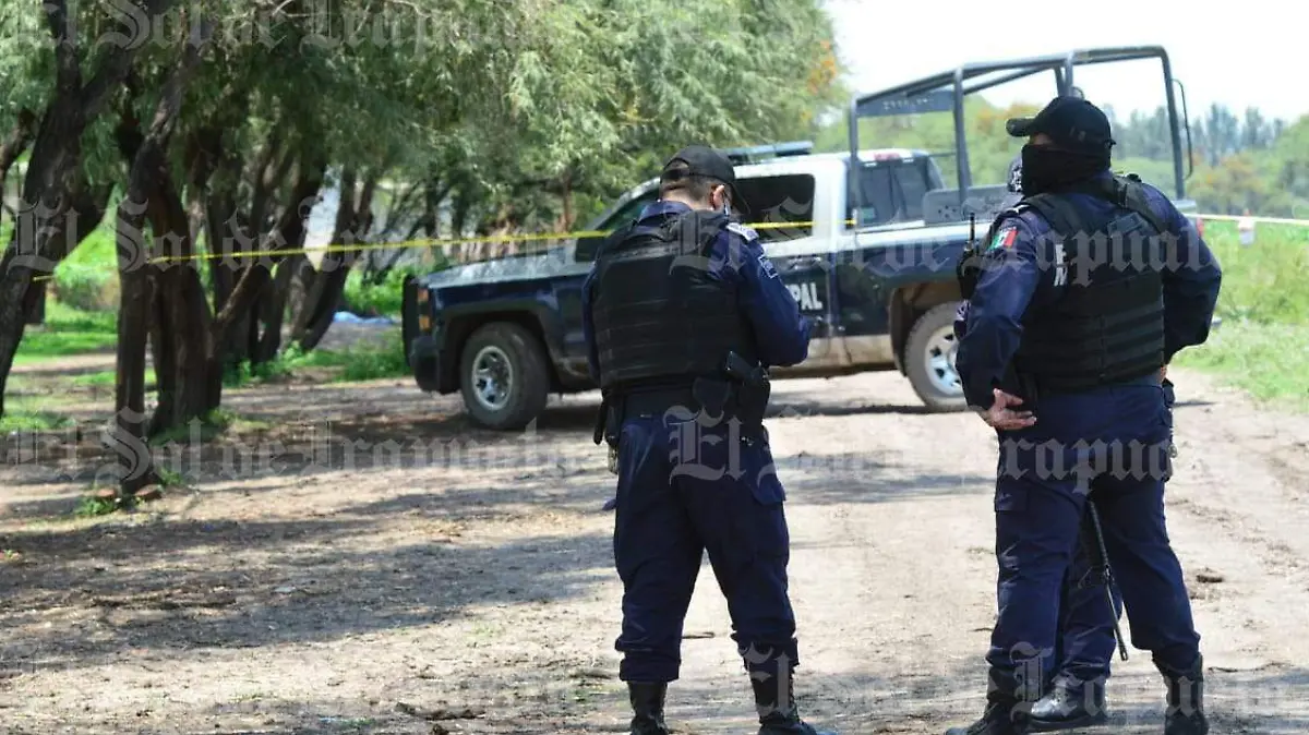 0e274574-3c43-4422-964f-541443fe8080