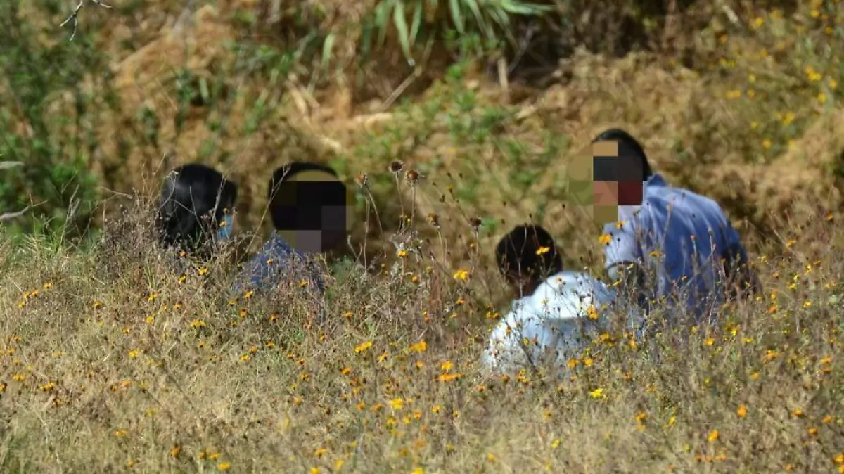 027e353a-a972-4cd5-b3b7-65d1dc0d237e