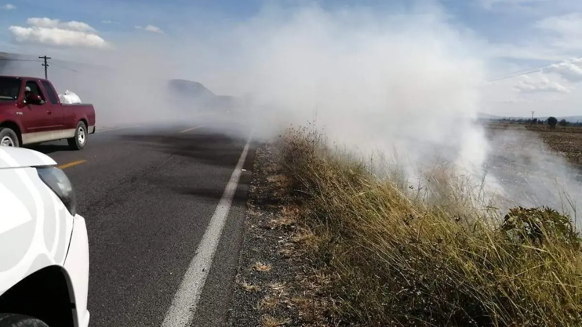 e8d00dc8-7940-4651-8e48-f769bd97fb3f