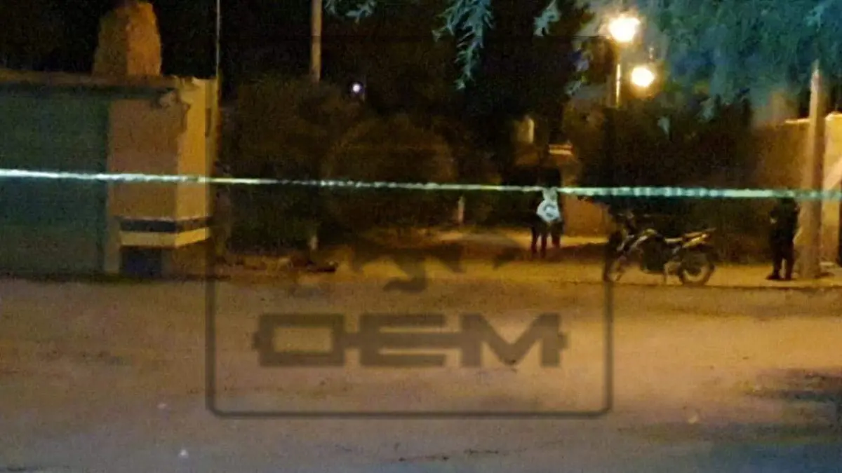 ff97f1e2-2c0e-4788-af3b-dd9f3c1a3e16