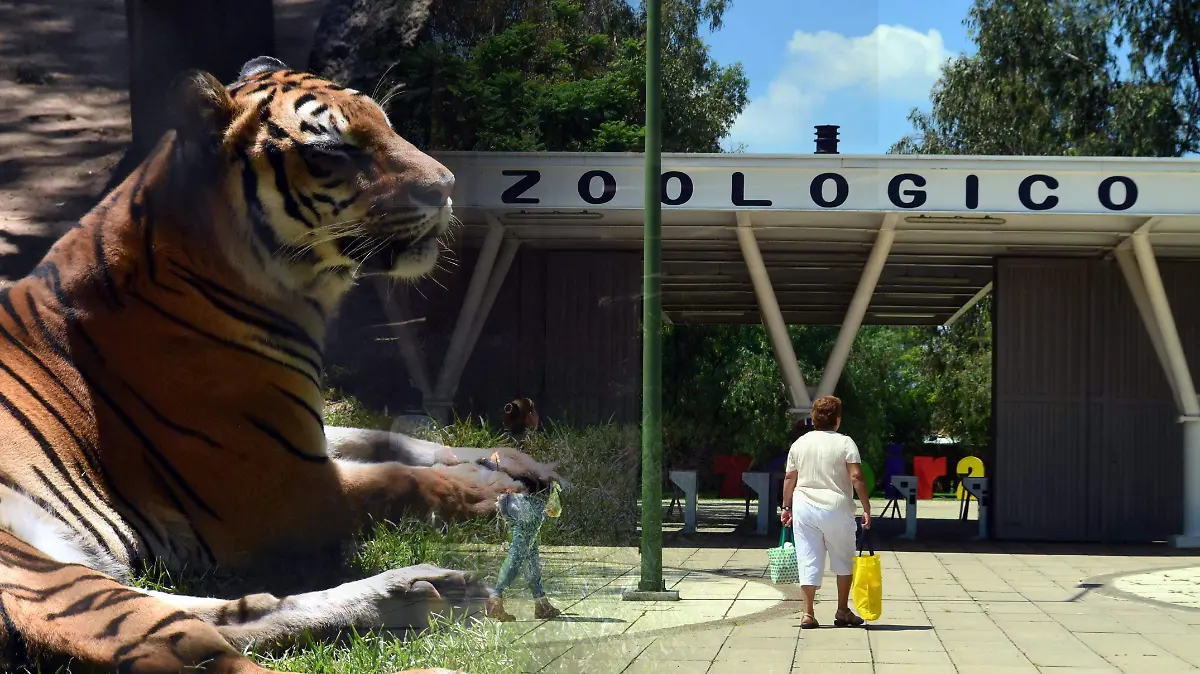 Zoo