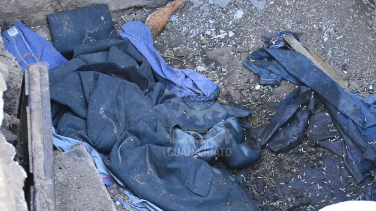 cf293eb2-4053-4df3-9f4d-d934566fe80e