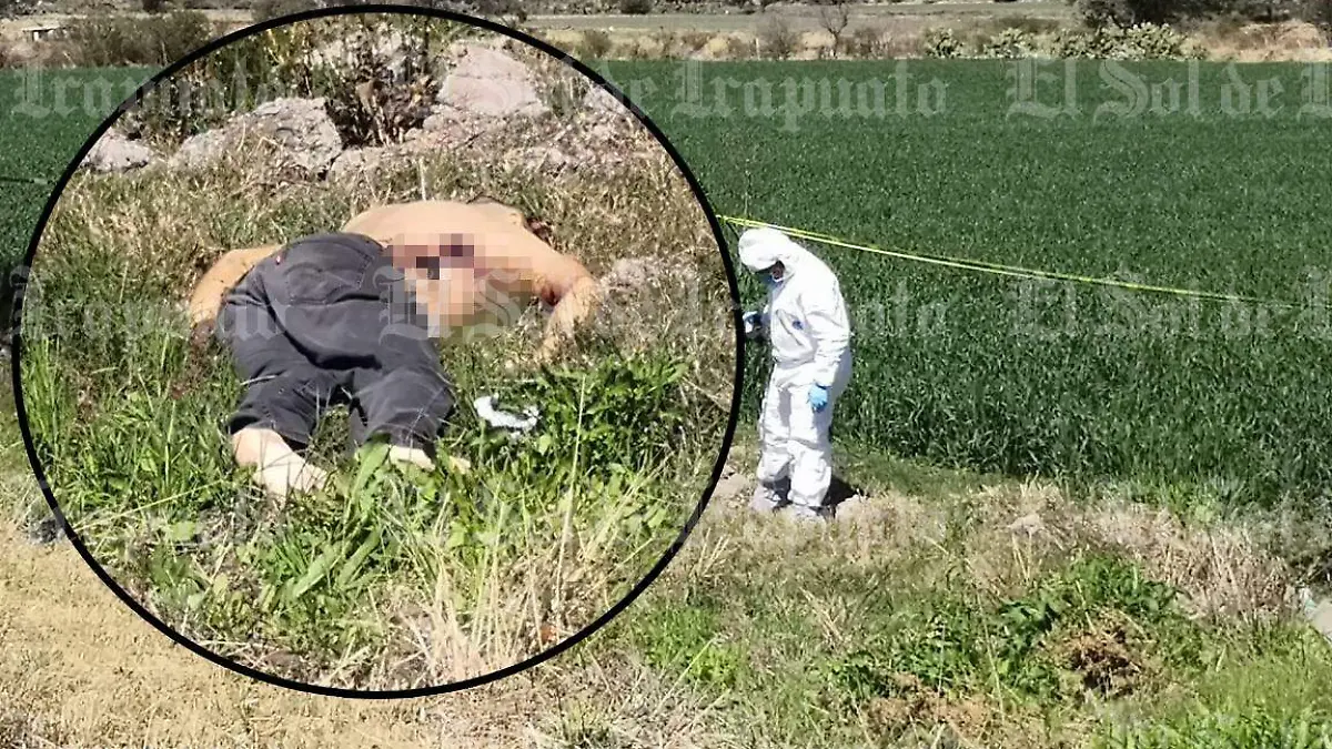 24f0194c-6641-4f35-a865-34c2d2ea4837