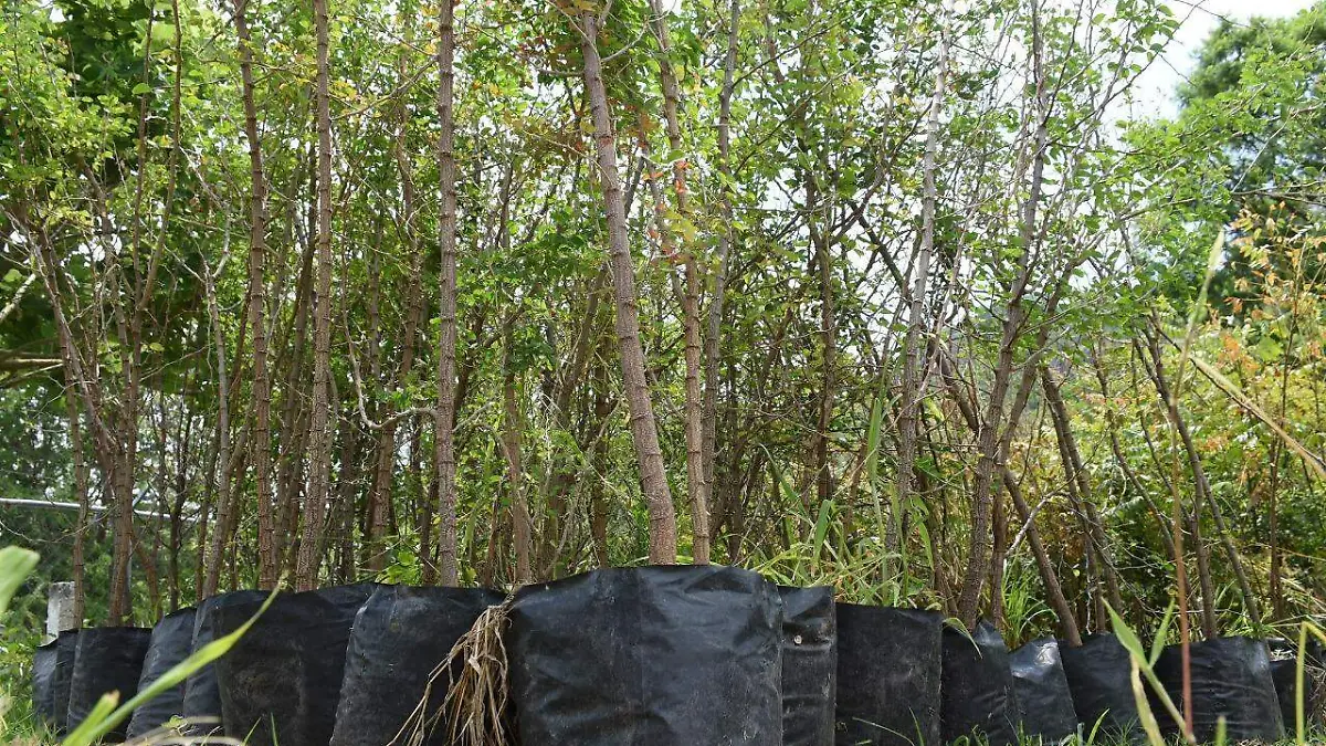 f147911d-c16b-4afc-8446-b19d57665818