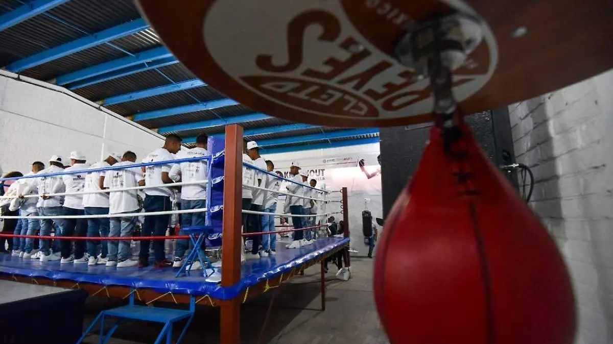 Boxeo