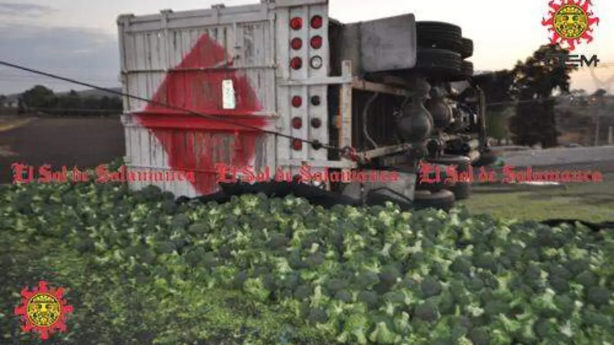 3732bf51-7f70-4541-92c0-473c84e81d6c