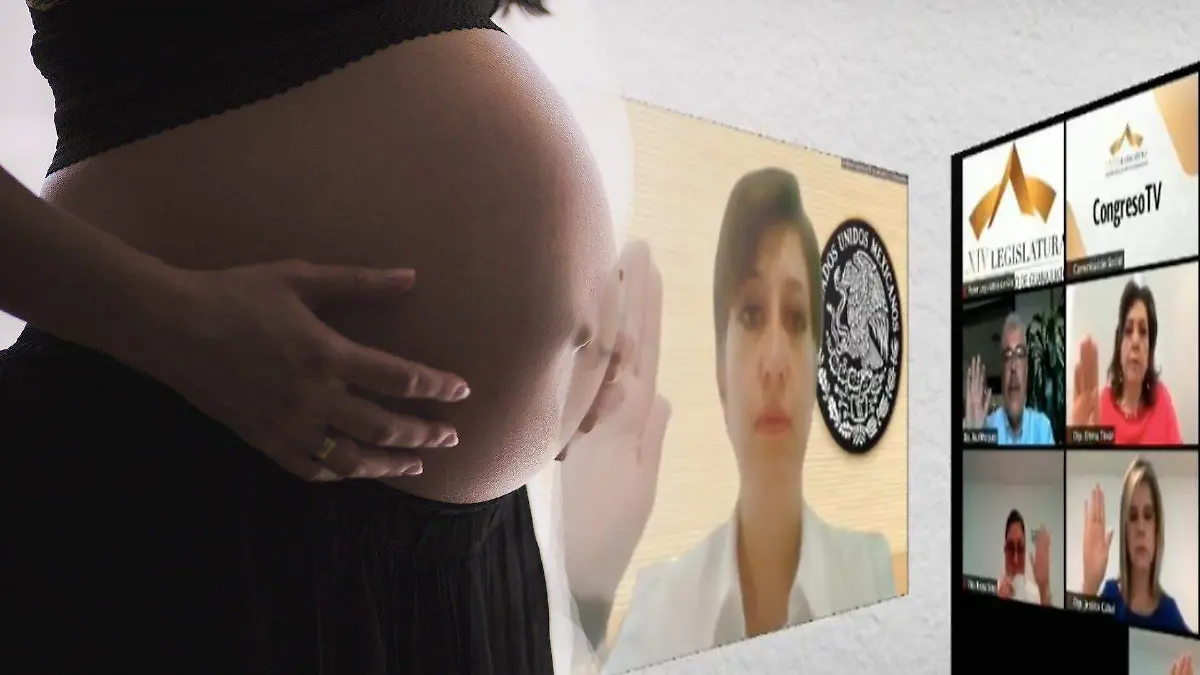 pregnant-1245703_1920