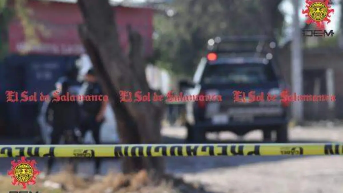 continuan investigaciones  (3)