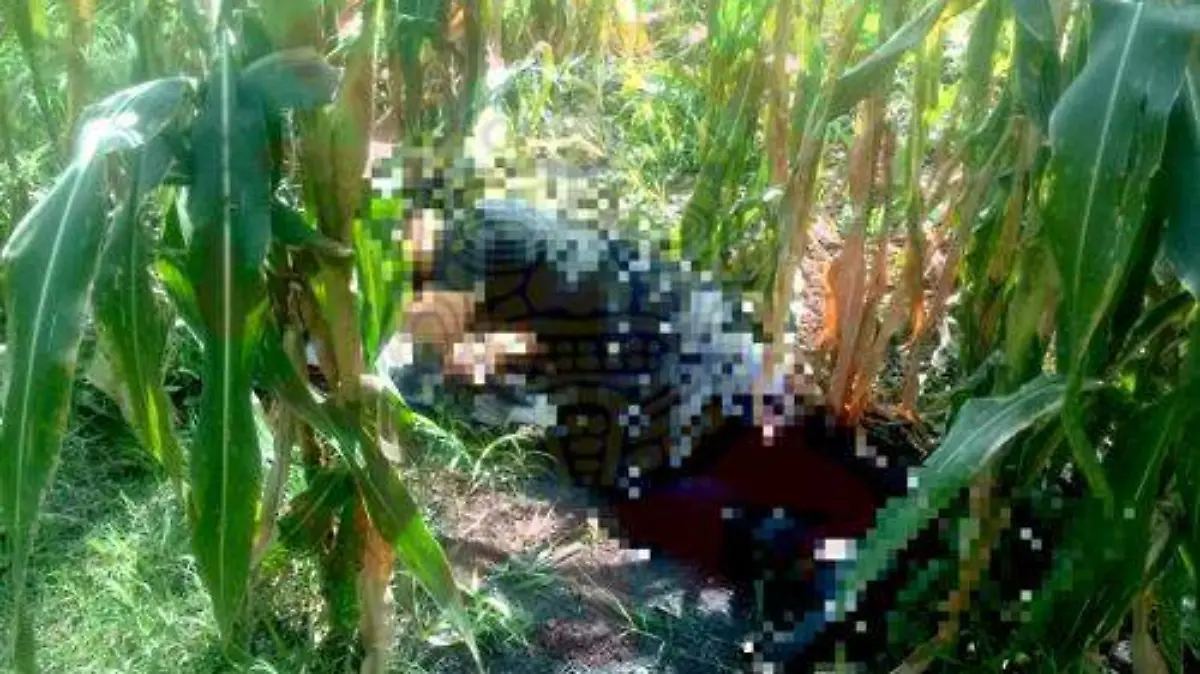 Image 2019-09-19 at 1.41.14 PM