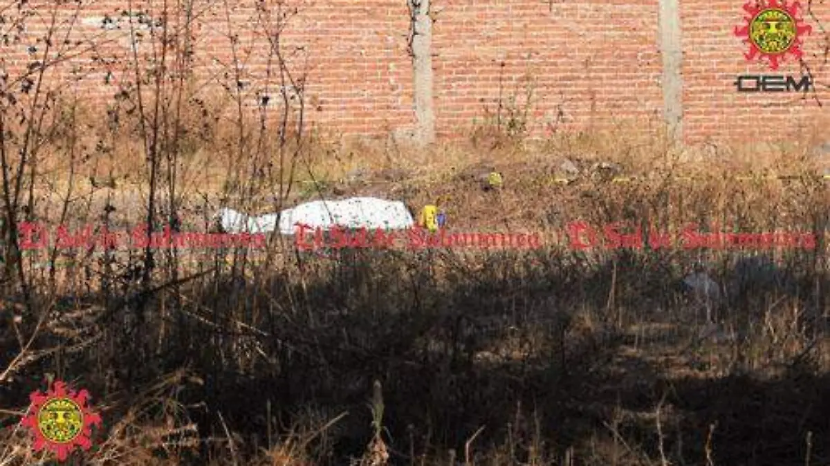 d74495f7-eddf-4b7f-bf1a-90bd5f4f4224