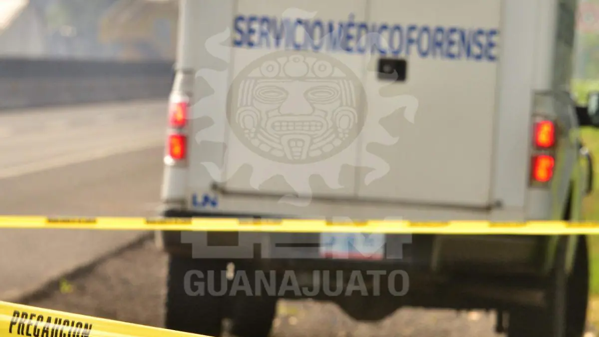 641682d0-e1d8-4848-9e6c-cd9746843c4b