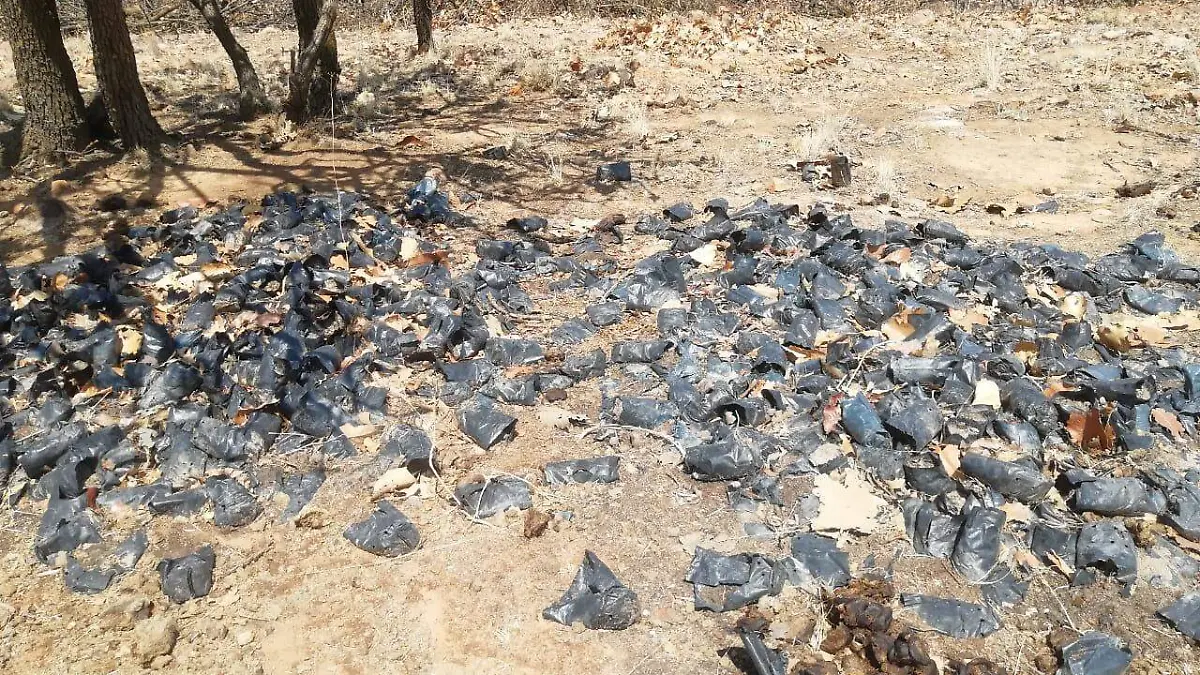 a9fd472c-639e-449a-bb80-435102c4a350