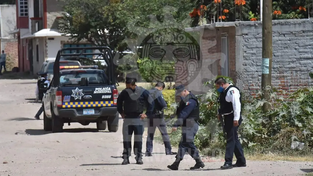 e4068e28-ab2e-4fcd-8b36-0beda1ba1e15