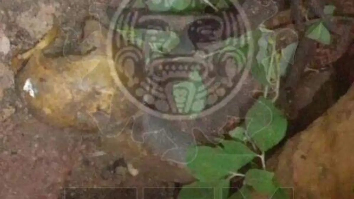 9f53ae49-836b-4efa-a869-e9f850fb2821