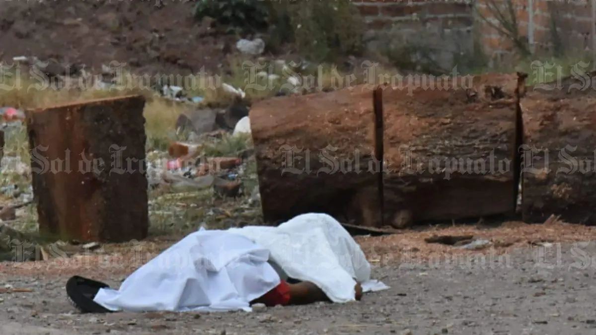 51d878b7-7324-4f1d-bd83-e32ecd996313