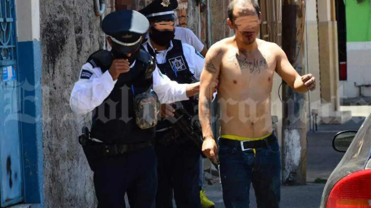 Sin título-1