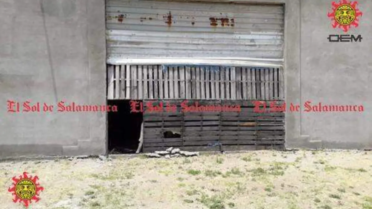 31fbe794-8f87-4e73-9790-9f8f09bb1f17